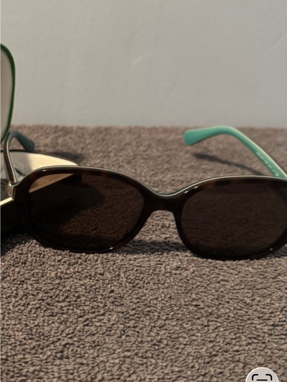 Women's Oval Sunglasses in Dark Brown with Mint Temples